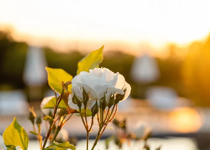 Capelongue, A Beaumier Hotel & Spa